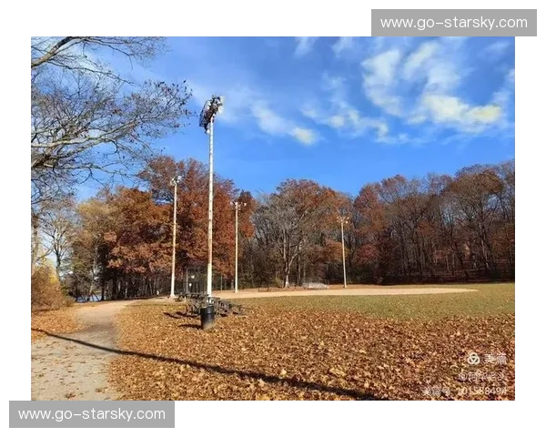 加勒比海的阳光与枫叶国的冰雪：加拿大vs牙买加，一场跨越山海的文化碰撞